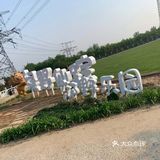 ✨郊野乐园探险记✨