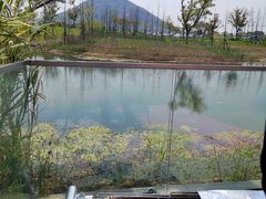 -田园东方蜜桃村的田野营地