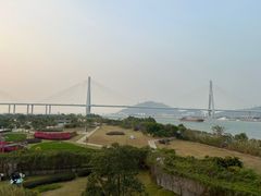 -芒洲湿地公园