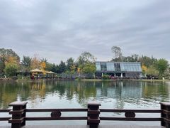 -成飞公园