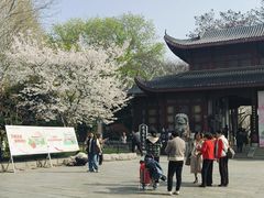 -堤角公园