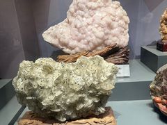 -湖南省地质博物馆