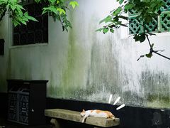 -上海醉白池公园