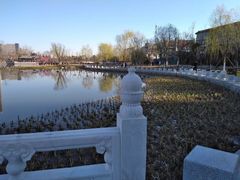 -西海子公园