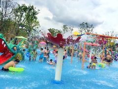 -苏州乐园森林水世界