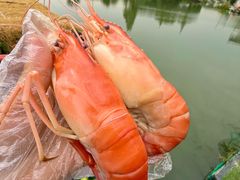 -水岸居湖景农家乐·阳澄湖大闸蟹