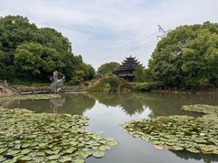 -韩湘水博园