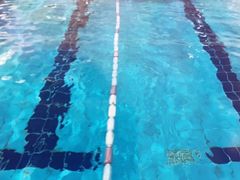 -小海豚国际游泳培训中心(浦东塘桥店)