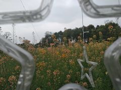 -洪湖家庭农场·团建·露营·会议