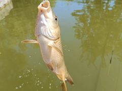 -酷鱼垂钓CLUB(朝阳区博大路店 )