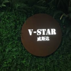 -V-STAR威斯达•高级私人定制