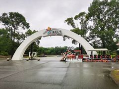 -上海鲜花港
