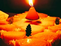 -福气鲜活面包·生日蛋糕