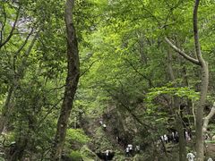 -波尔登森林公园