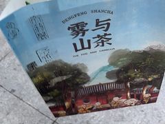 -雾与山茶(大禹城店)