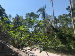 景点-九龙公园