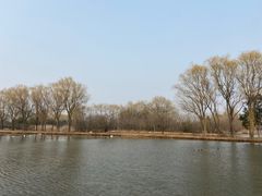 -西安浐灞国家湿地公园