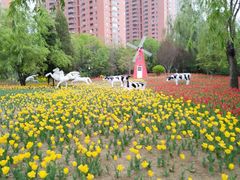 -迎泽公园
