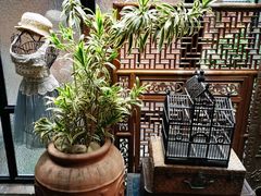 -星巴克臻选(思南公馆店)