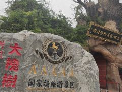 -大槐树寻根祭祖园