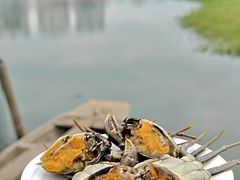 -君豪蟹都·湖景·农家乐(蟹舫苑店)