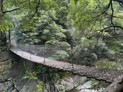 -大鄣山卧龙谷景区