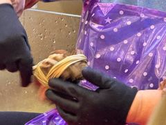 -蟹天蟹地农家菜·阳澄湖大闸蟹(浅水湾店)