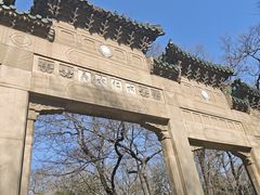 -灵谷景区