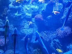 -左海海底世界