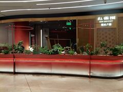 -红雀围·海鲜火锅(陆家嘴中心店)