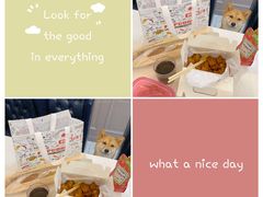 -猫头鹰炸鸡