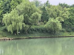 -中国湿地博物馆