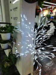 -AFA Hair studio·女士发型设计