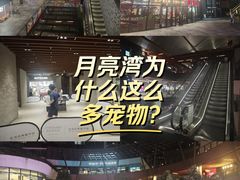 -瑞虹新天地月亮湾