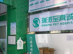 -瑞派动物医院·猫专科·至诚(江南中分院)