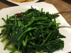 -马帮菜馆·美味野生菌