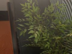 -华夏良子·足道SPA艾灸(图书大厦店)