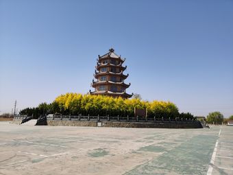 【西双塘油菜花海】静海区连锁大全,点击查看全部1家分店-大众点评网