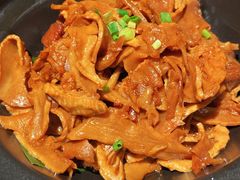 -佬肥猫(七宝宝龙店)