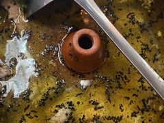 -昆虫窝子·特色云南菜(拓东路总店)