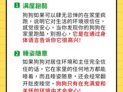 -美联众合动物医院·24h转诊中心