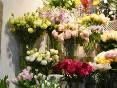 -循礼门鲜花花市(武汉循礼门店)