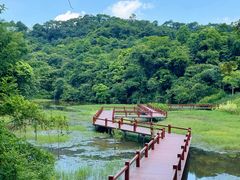 -佛山市三水区大南山森林公园