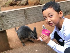 -费瑟代尔野生动物园