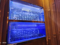 -罗氏十三活虾餐厅(光谷K11购物艺术中心店)