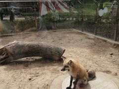 -无锡动物园·太湖欢乐园