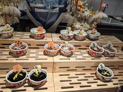 -萧邦音乐会所KTV·蒸汽活海鲜自助(福田店)