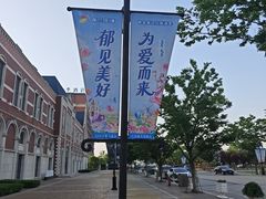 -荷兰花海