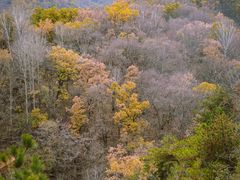 -玉渡山自然风景区