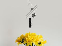 -罗子龙罗家桂花汤圆(曹都巷店)